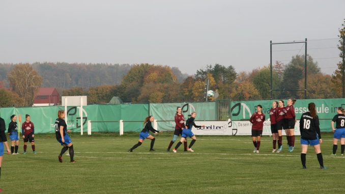 IMG-20221116-WA0017